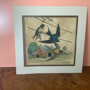 Vintage Print Barn Swallow   Roger Tory Peterson Birds